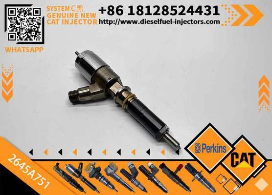 High Quality New Fuel System Parts Diesel Fuel Injector 320-0655 2645A751 1106D-E66TA for Caterpillar CAT C6.6 Perkins