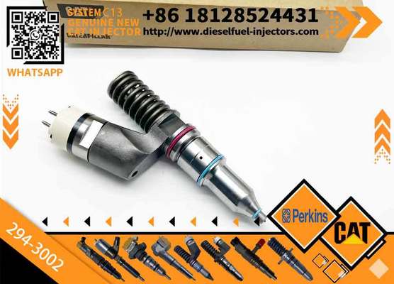 Fuel Injector C13 Engine Parts Fuel Injector 294-3002 232-1198 0R-9530 116-8805 for Diesel Injection Valve Components