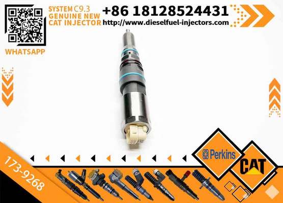 Fuel Injector 456-3544 20R-5079 4563544 363-0493 138-8756 155-1819 169-7408 173-9268 with Cateeerpillar C9.3 Excavator 336E 320D Machinery Engine Parts