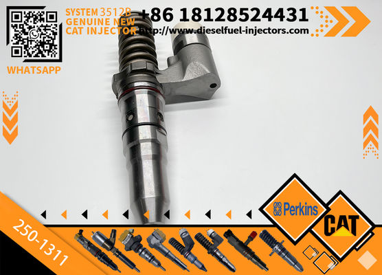 Diesel Common Rail Injector 250-1208 250-1311 250-1213 10R-9617 373-4087 376-0509 379-0509 250-1202 250-1304 for CAT 3500B